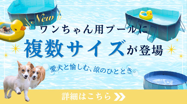 ドッグプール