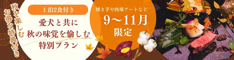 秋限定バナー