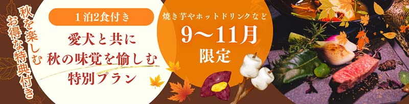 秋限定バナー